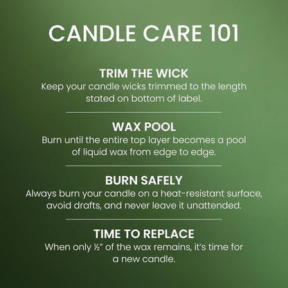 Yankee Candle Balsam & Cedar, Scented Candle, 22oz Large Jar with up to 150 Hour Burn Time, Giftable